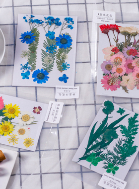 DIY压花天然花草押花 手工台灯相框团扇干花材料贴脸花瓣滴胶花朵