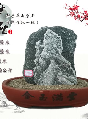 西岳华山石头观赏石画面石图案石客厅庭院摆件天然原石配底座