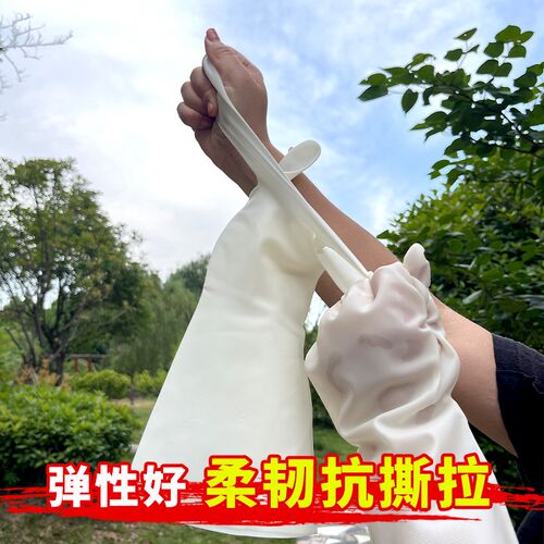 耐磨耐刺手套橡胶加厚防刺穿手套 马蜂服内搭手套捉蜂防护手套 - 图0