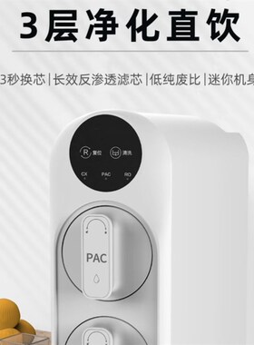 家用净水机RO反渗透净水器双芯双出水大通量净化可直饮厨下过滤器