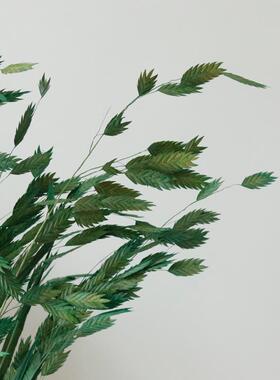 网红小盼草干花自然晾干风铃草家居软装摆件田园诧寂风高级感花束