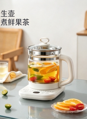 养生壶多功能家用烧水壶办公室小型炖煮一体煮茶壶家用电热水壶
