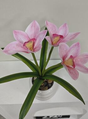 6叶蕙兰花盆栽 仿真花盆栽客厅桌面装饰摆件家居玄关造景仿生植物
