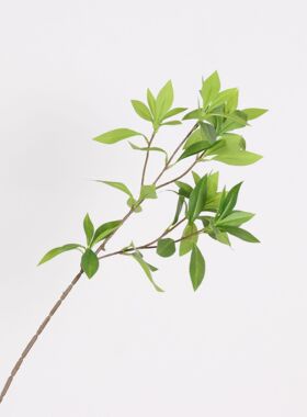 仿真绿植马醉木单支假树枝室内家居装饰摆件插花花艺酒店摄影道具