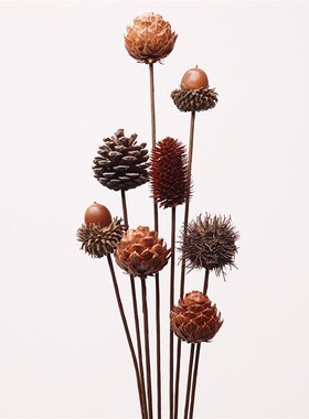 天然松果装饰品摆件 松塔野生DIY手工材料干花莲蓬幼儿园插花辅料