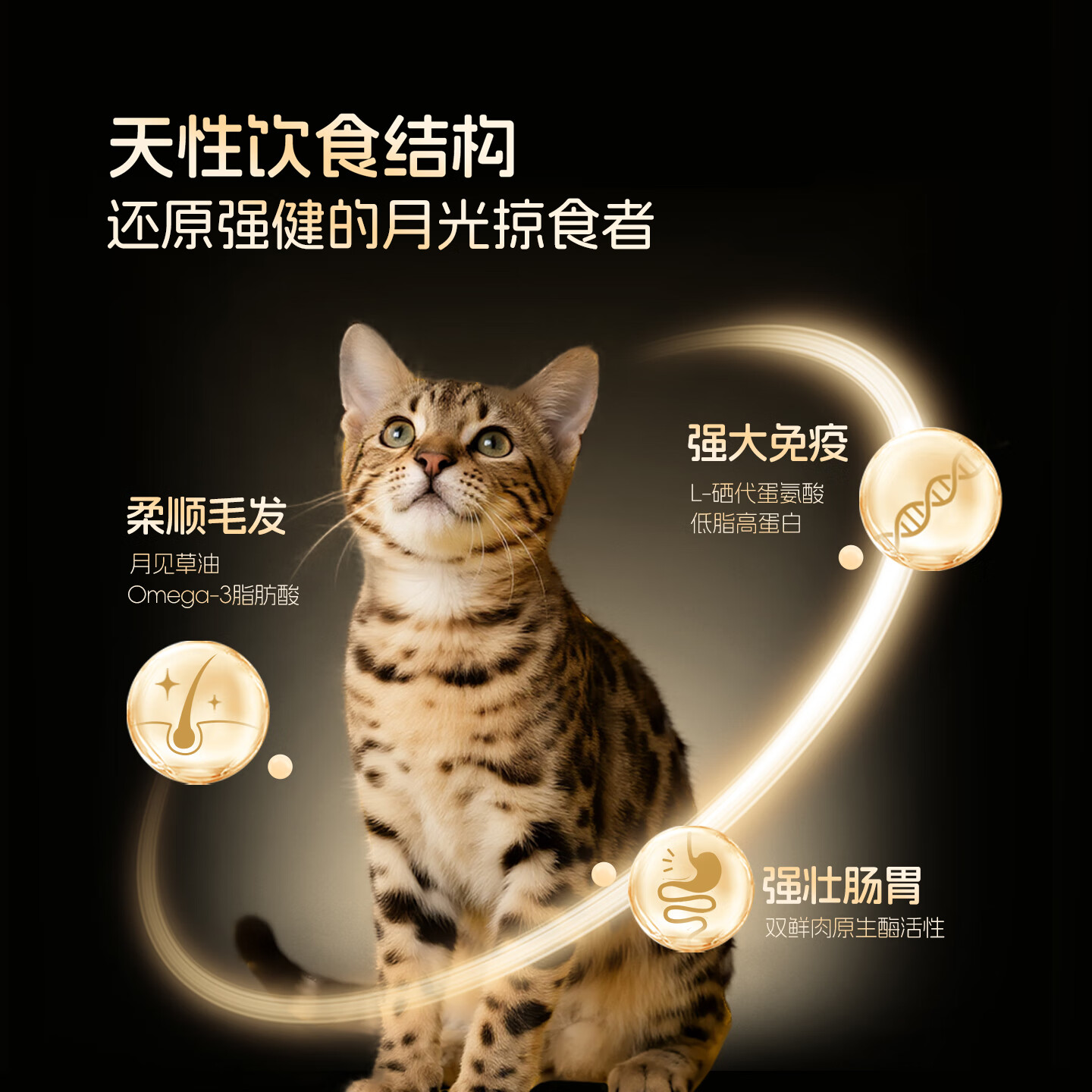 素材图