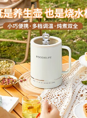 一人小型养生杯迷你便携式烧水壶办公室多功能电热水杯旅行宿舍