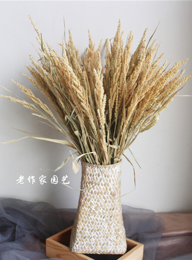 自然风干谷穗草干花包手工编制花篮真花花束摆拍道具家居装饰摆件