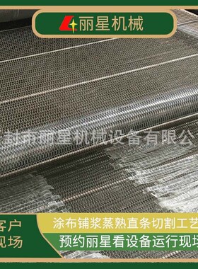 丽星厂家供应水晶粉皮机、绿豆粉皮设备、圆形粉皮生产线