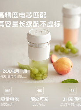 olayks立时小型便携充电榨汁杯