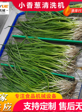 工厂用果蔬气泡清洗机雪里蕻清洗风干线梅干菜鼓泡翻浪清洗机