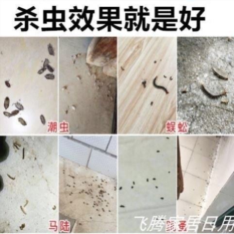 蚂蚁药家用全窝端非无毒室内果园野户外消灭蚂蚁药户外净杀虫粉剂 - 图1