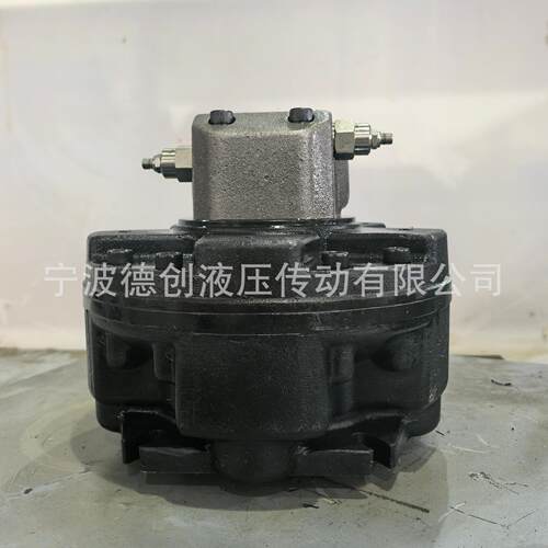 破碎斗用低速大扭矩五星液压马达 DGM2-600 油马达 - 图2