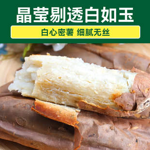 绿行者哈密薯白薯4.5斤