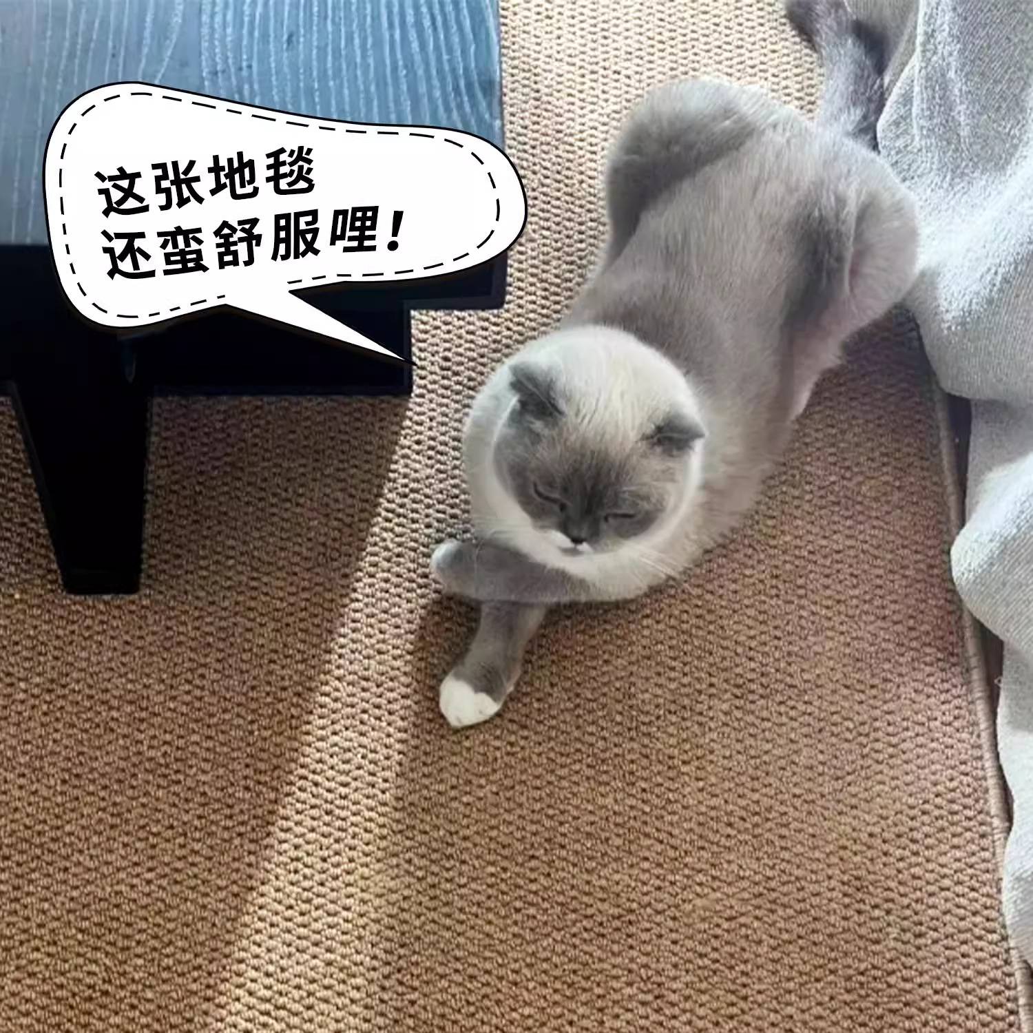 Imitation sisal anti-cat scratch carpet living room studio bedroom bedside Japanese tatami solid color linen photo floor mat