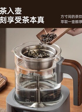 格丽思GREENjIS煮茶壶煮茶器纯钛养生壶萃茶机烧水泡茶自动上水