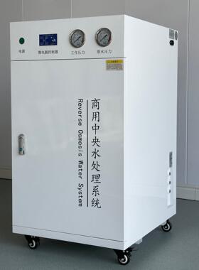 800G大通量净水器净水设备工厂ro反渗透奶茶店商用净水器ro反渗透