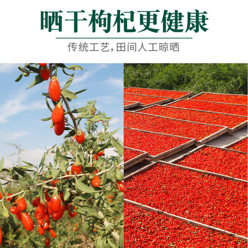 宁夏中宁红枸杞子大颗粒免洗配料干净无杂新鲜日常养生泡水煲汤 - 图3