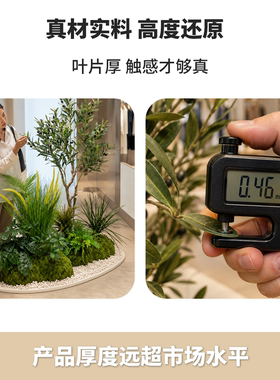 仿真橄榄树服装店橱窗造景秋冬装饰场景布置造景摆件创意风高级感