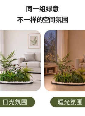 仿真蕨类植物把束景观装饰假草橱窗楼梯下高级感禅意造景搭配配草