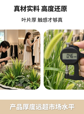 仿真绿植造景服装店橱窗装饰场景布置创意风假绿植凤尾草轻奢高级