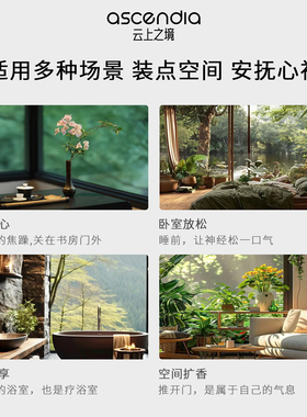 云上之境居家藤条香薰摆件