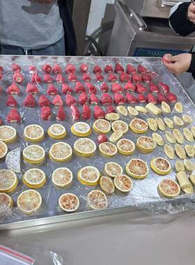 草莓食品真空冻干机益生菌真空冷冻干燥机设备蔬菜冷冻式干燥机