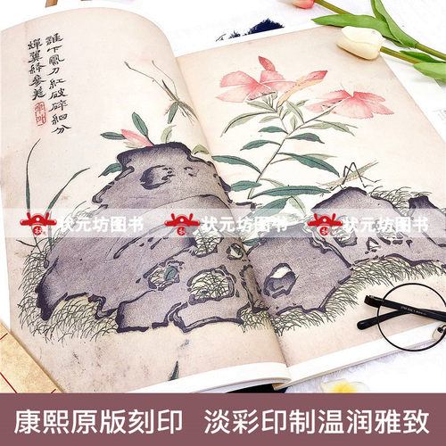 【全13本】康熙原版芥子园画传芥子园画谱全集临摹本梅兰竹菊谱花鸟草虫谱山水卷树谱人物山石谱彩色版芥子园成人国画美术教材教程 - 图2