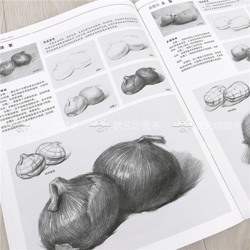 正版绘画基础素描静物临摹书初级素描静物入门教程美术技法基础教程画室素描铅笔画静物素描书安徽美术出版社-图3