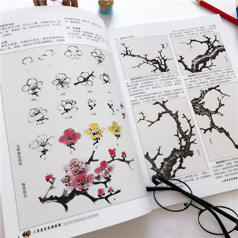 小写意花鸟画教程上下册全2本传统水墨画技法详解皇甫秉钧著零基础美术绘画教材初级国画教材中国画牡丹花鸟画入门成人自学国画书-图1