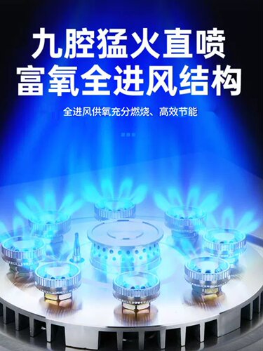 大火力猛火燃气灶双灶乐佳好太太家用天然气液化气台嵌入式煤气灶 - 图1