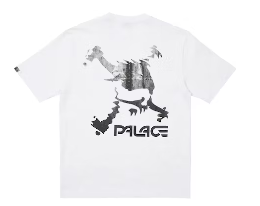 SUMMER23 PALACE x OAKLEY T-SHIRT 欧克利 联名短袖