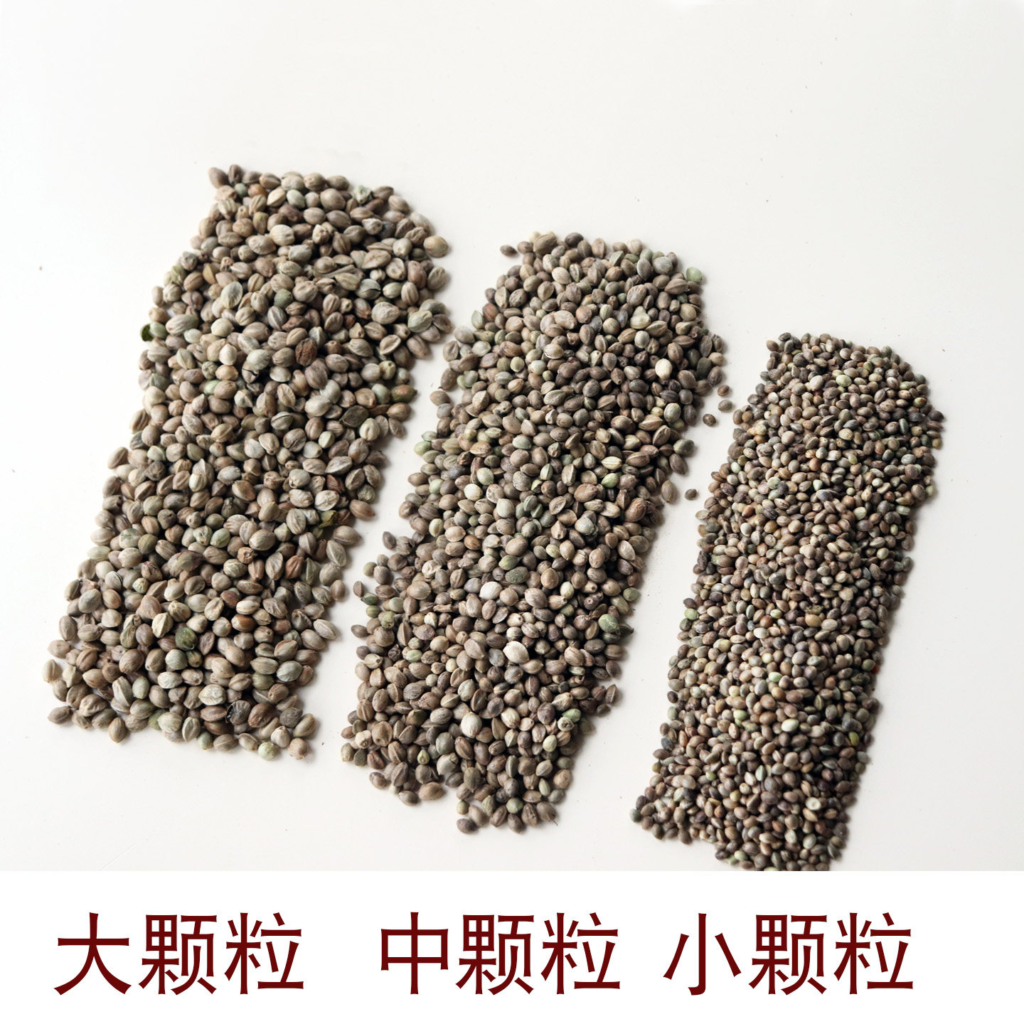 鹦鹉鸟粮纸壳麻子鸟零食小太阳和尚训练奖励牡丹玄凤饲料大颗粒火,淘宝优惠券,粉丝福利购,淘宝优惠卷