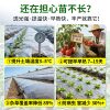 White plastic film mulch film for vegetable planting, onion and garlic seedling mulch film, agricultural planting new material, thermal insulation and moisturizing film