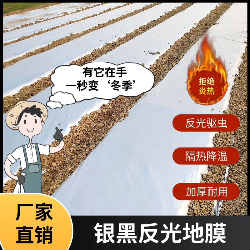 银黑双色地膜反光地膜农用种植加厚塑料薄膜草莓蔬菜黑色地膜保温 - 图3