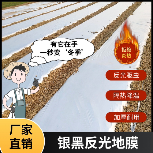 银黑双色地膜反光地膜农用种植加厚塑料薄膜草莓蔬菜黑色地膜保温