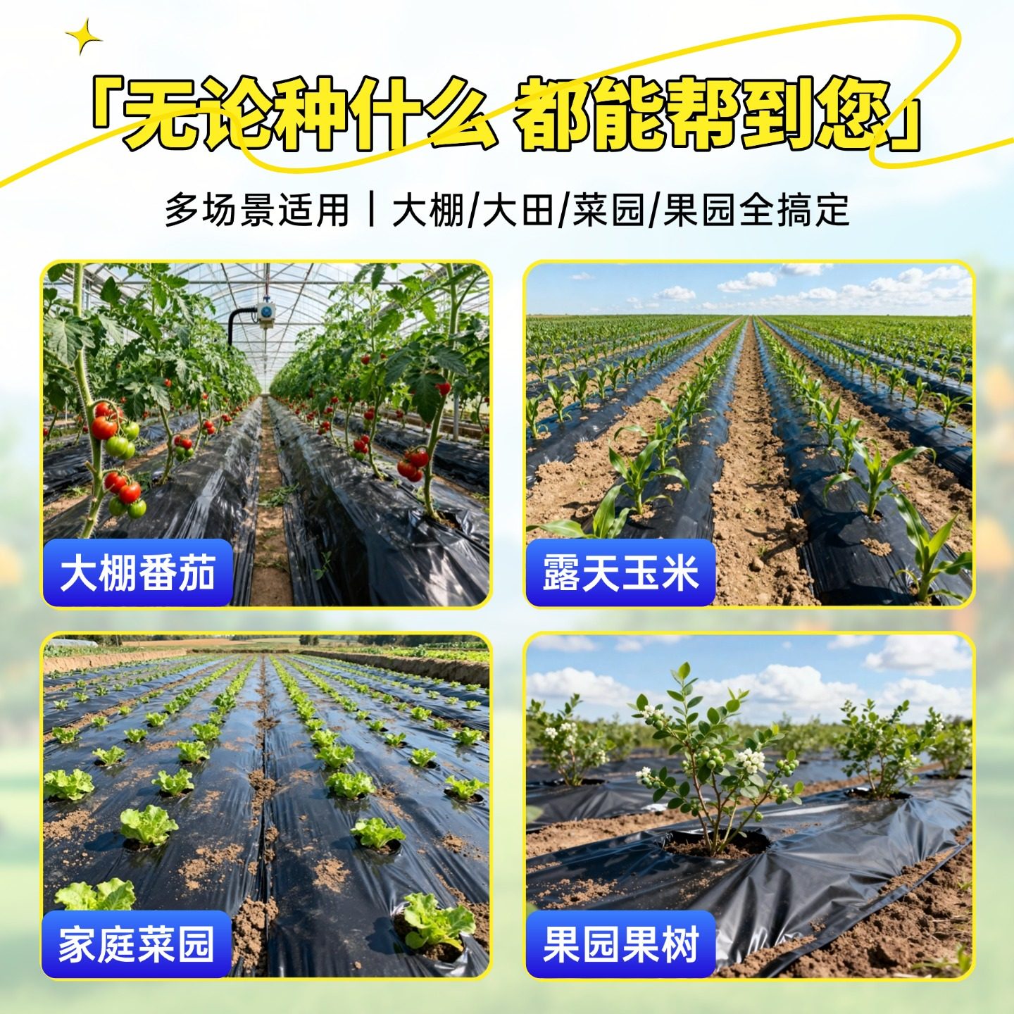 种菜专用黑地膜加厚保温菜园除草农用薄膜农田覆盖果树蔬菜塑料膜,淘宝优惠券,粉丝福利购,淘宝优惠卷