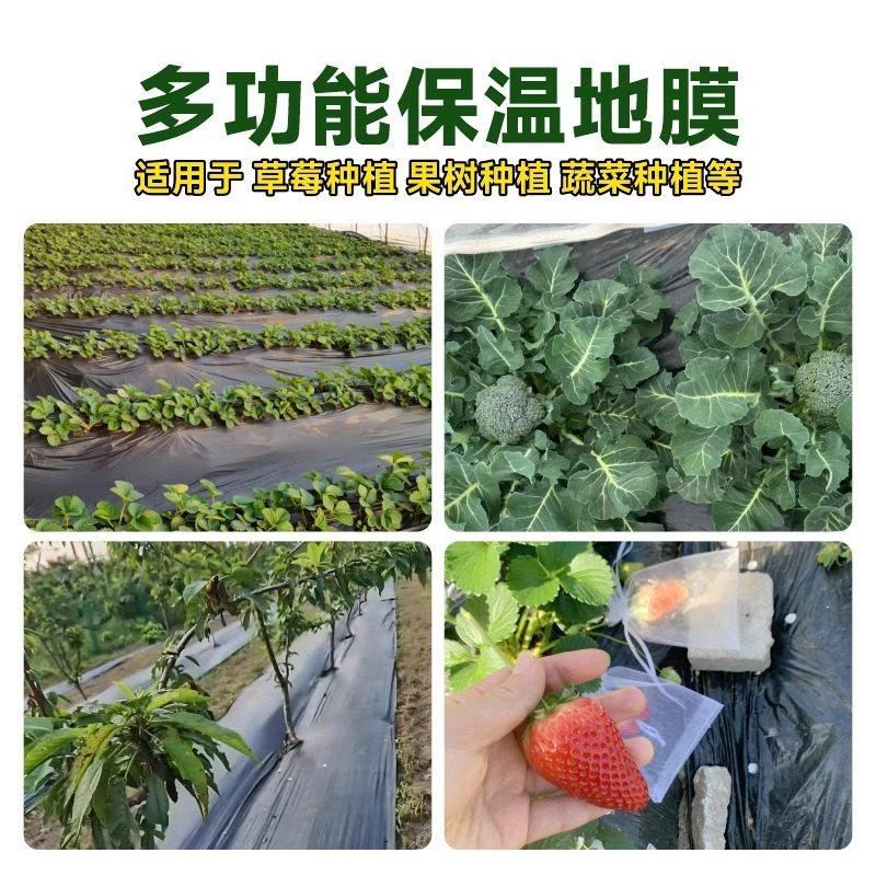 黑色地膜农用种植加厚防草除草保温盖菜菜园种菜专用塑料薄膜甘蔗,淘宝优惠券,粉丝福利购,淘宝优惠卷