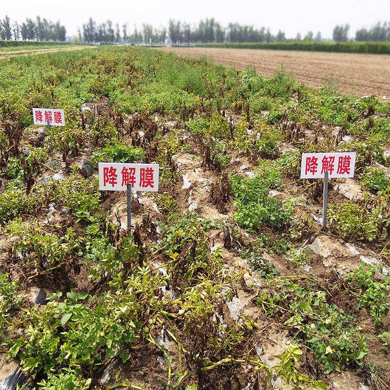 全生物降解地膜Pbat 可降解农用蔬菜地膜定除草黑地膜农膜全,淘宝优惠券,粉丝福利购,淘宝优惠卷