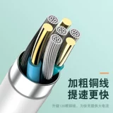 Typec 嵁 версия 绾 绾 绾 pyec 瓒呯    绾 绾 鍗 傜敤 鍗 灏 灏 忕 忕 鍏呯 鍏呯 绾 绾 绾 棯鍏? A 鐭