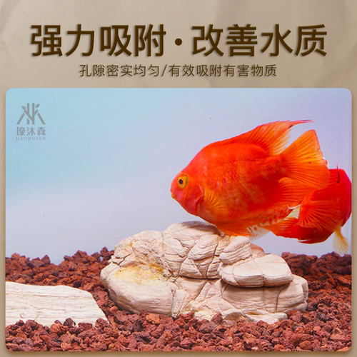 火山岩颗粒多肉天然铺面石鱼缸过滤兰花种植土红色垫底材料营养 - 图2