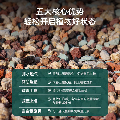 多肉彩虹石纯颗粒土营养土壤火山麦饭石多肉栽培颗粒土专用铺面石 - 图0
