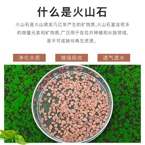 火山岩颗粒多肉天然铺面石鱼缸过滤兰花种植土红色垫底材料营养 - 图1