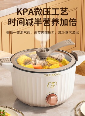 多功能微压电煮锅网红家用料理电火锅大容量煮饭炒菜一体锅