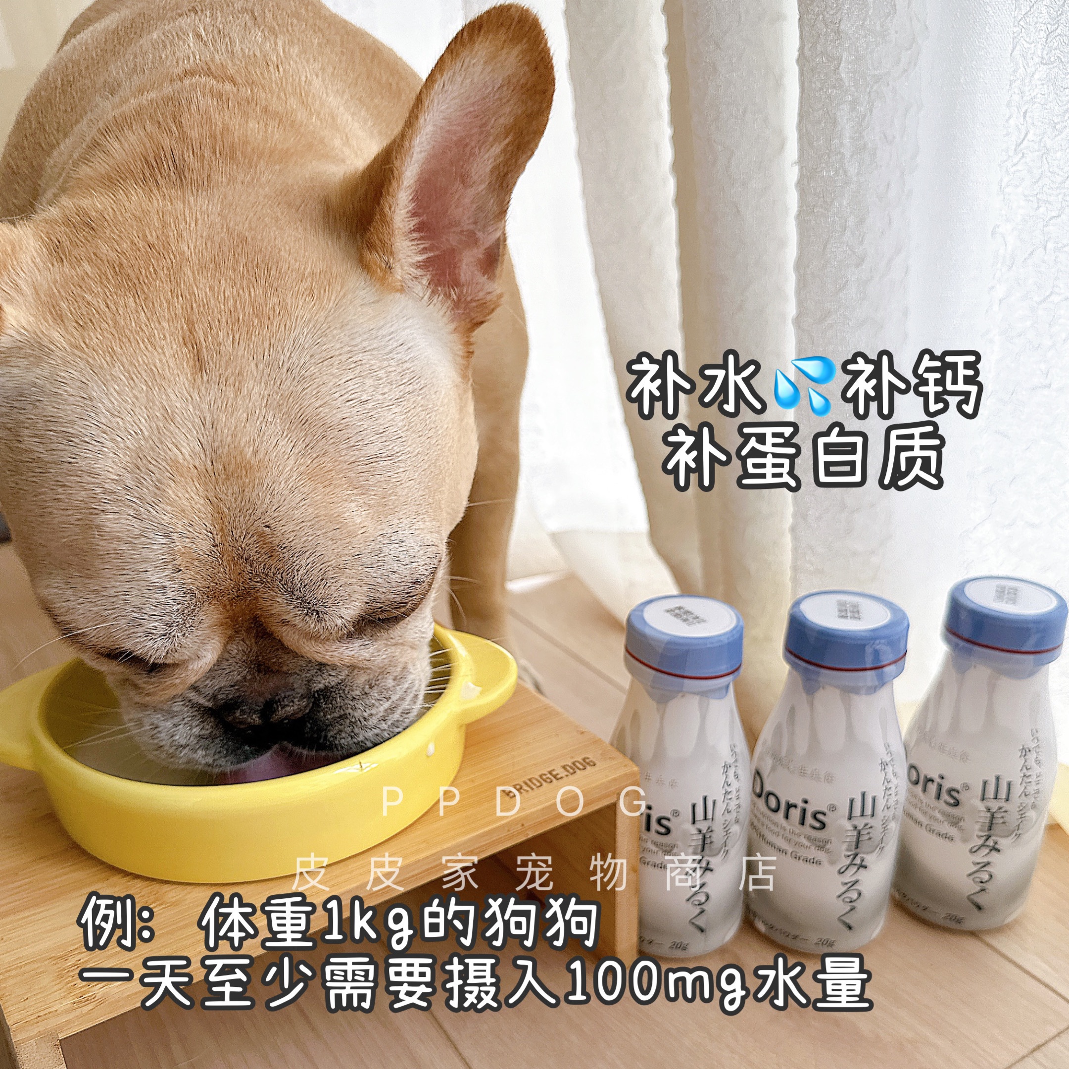 Doris宠物山羊奶粉狗狗低敏补钙补水瓶装即饮营养易吸收猫犬通用 - 图0