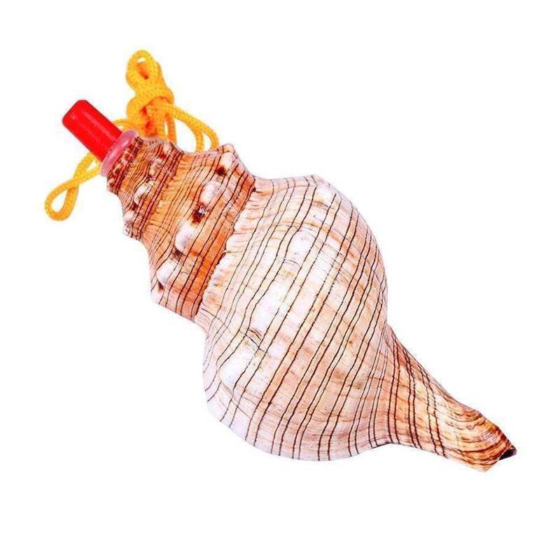 天然海螺号角可吹喇叭口哨超大贝壳哨子儿童玩具哨小螺号能吹响的 - 图0