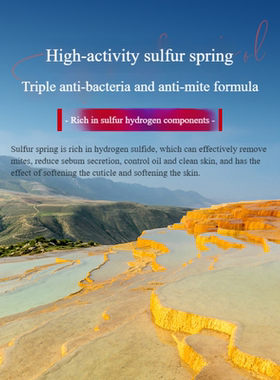 Men's Sulfur Oil-Control Facial Cleanser 男士硫磺控油洁面乳