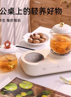 迷你双杯恒温养生壶多功能家用养生杯小型办公室煮茶器电热水杯垫