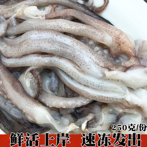 新鲜鱿鱼须鲜活鱿鱼冷冻鱿鱼爪鱿鱼尾鱿鱼串铁板烧烤海鲜火锅食材 - 图1