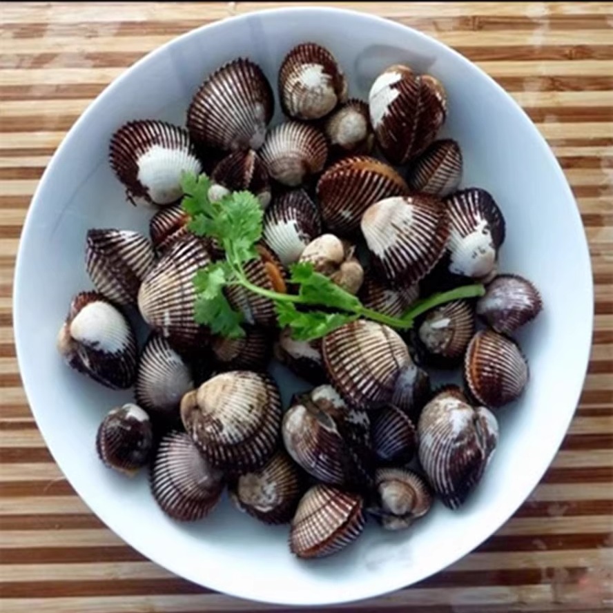 Seafood, aquatic products, fresh hairy clams, fresh blood clams and shellfish